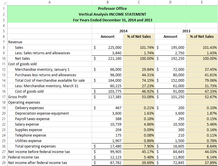 Vertical Analysis for an Income Statement
