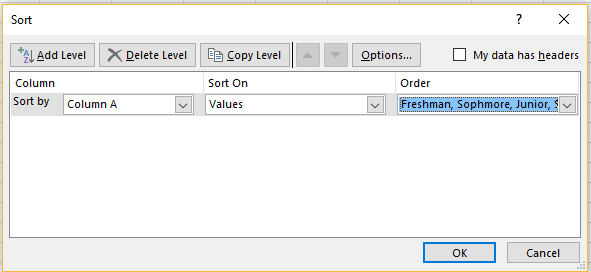 Custom sort list appearing in Excel